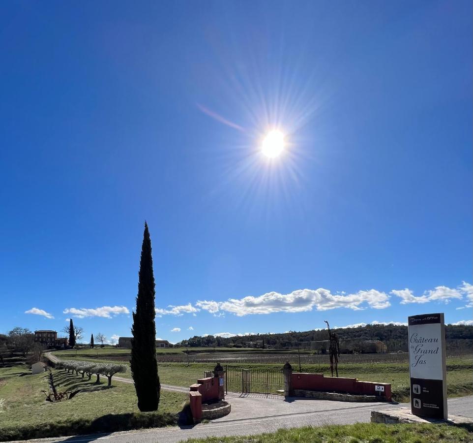 Chateau Du Grand Jas Entrecasteaux Екстер'єр фото